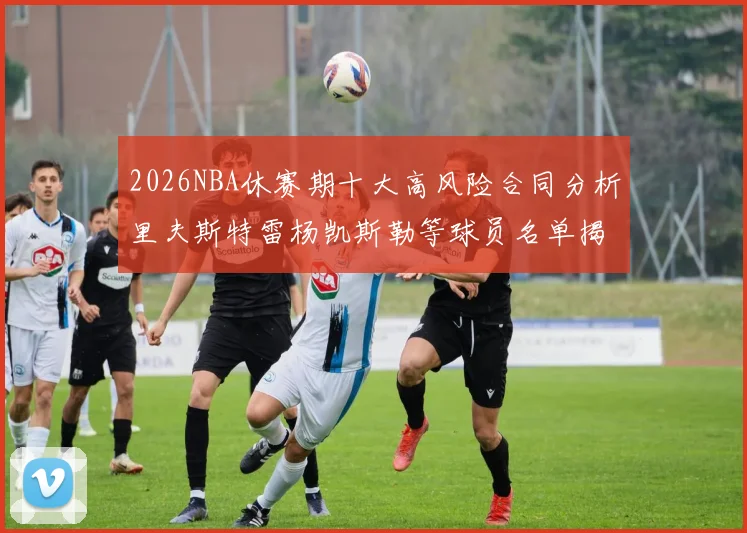 2026NBA休赛期十大高风险合同分析里夫斯特雷杨凯斯勒等球员名单揭秘