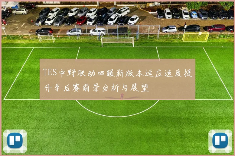 TES中野联动回暖新版本适应速度提升季后赛前景分析与展望